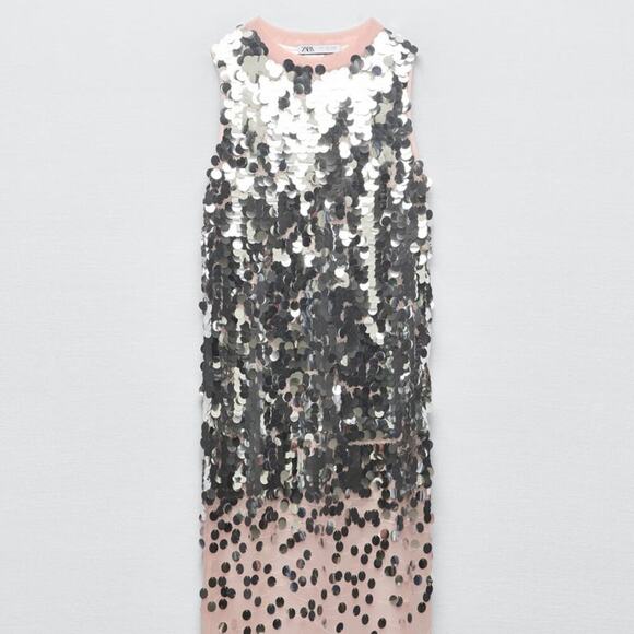 Zara Dresses & Skirts - Zara Sequin Knit Dress